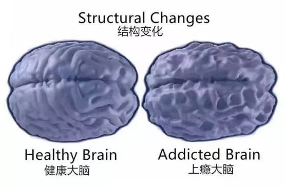 家庭教育最大的敌人，二十年前是电视，十年前是游戏，今天是什么？