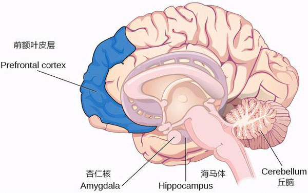 孩子的青春期仿佛是个“劫”，处理不好毁终身