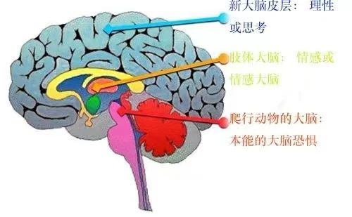 这件事父母每干一次，会让孩子变笨一点！现在知道还不晚