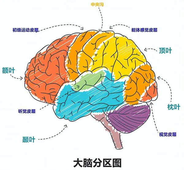 孩子的时间观念不是“催”出来的，这样做，帮孩子建立良好的时间观念！